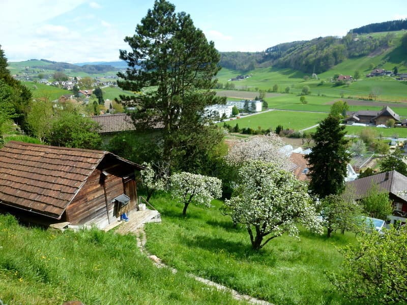 2½ ZI-WOHNUNG IN STETTLEN (BE), MÖBLIERT (10)