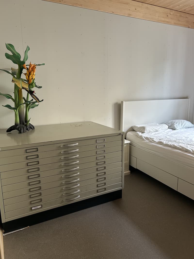 3½ ZI-WOHNUNG IN BASEL - ST. JOHANN, MÖBLIERT, TEMPORÄR (4)