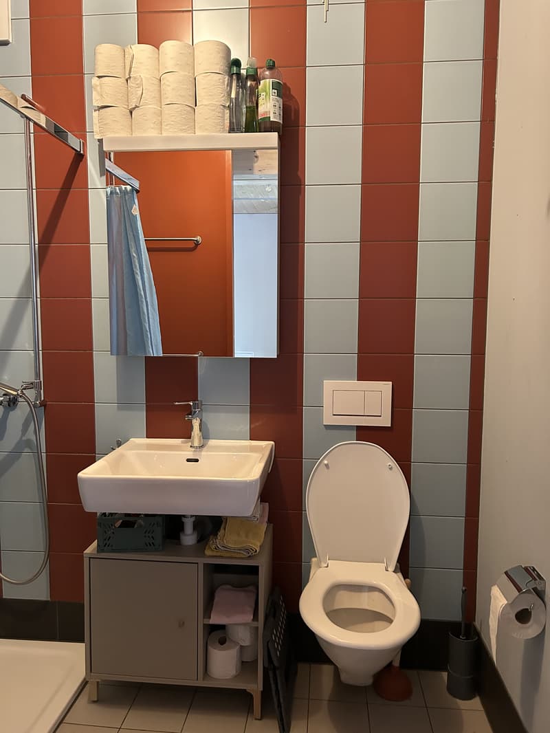 3½ ZI-WOHNUNG IN BASEL - ST. JOHANN, MÖBLIERT, TEMPORÄR (8)