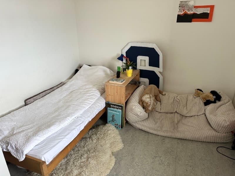 3½ ZI-WOHNUNG IN ZÜRICH - KREIS 3 SIHLFELD, MÖBLIERT, TEMPORÄR (6)