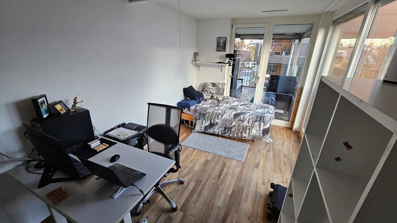 4½ ZI-WOHNUNG IN HORGEN (ZH), MÖBLIERT (9)