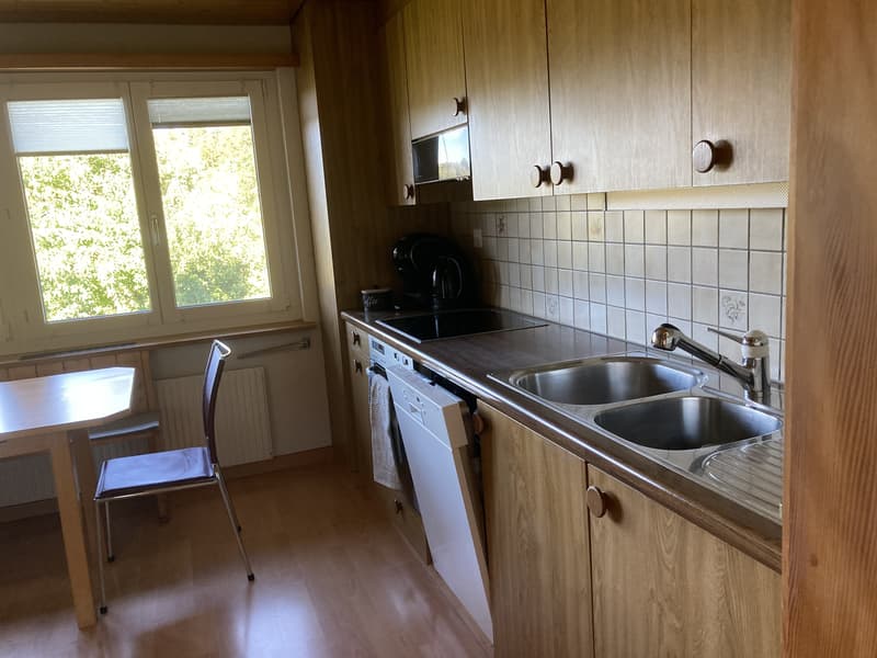 3½ ZI-WOHNUNG IN MIRCHEL (BE), MÖBLIERT, TEMPORÄR (2)