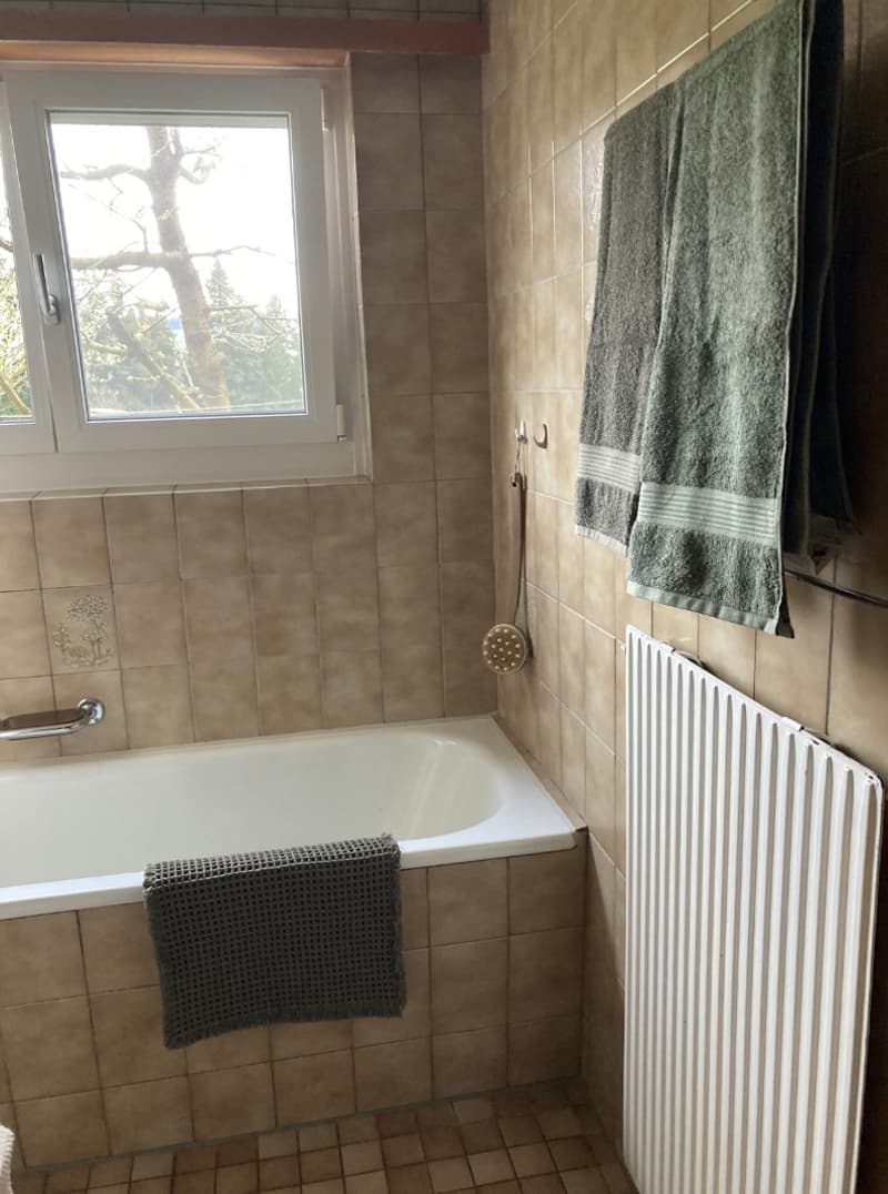 3½ ZI-WOHNUNG IN MIRCHEL (BE), MÖBLIERT, TEMPORÄR (2)