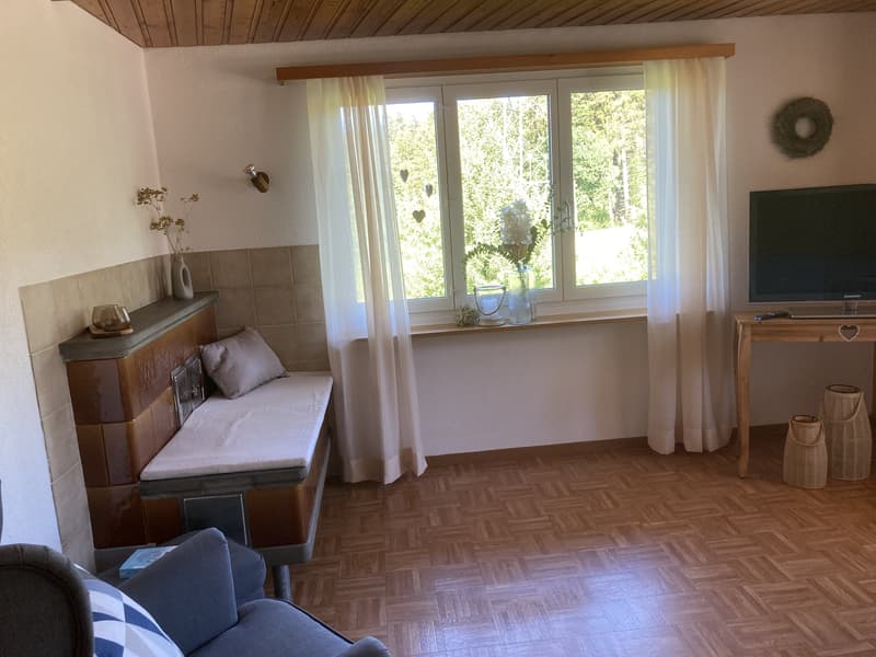 3½ ZI-WOHNUNG IN MIRCHEL (BE), MÖBLIERT, TEMPORÄR (9)