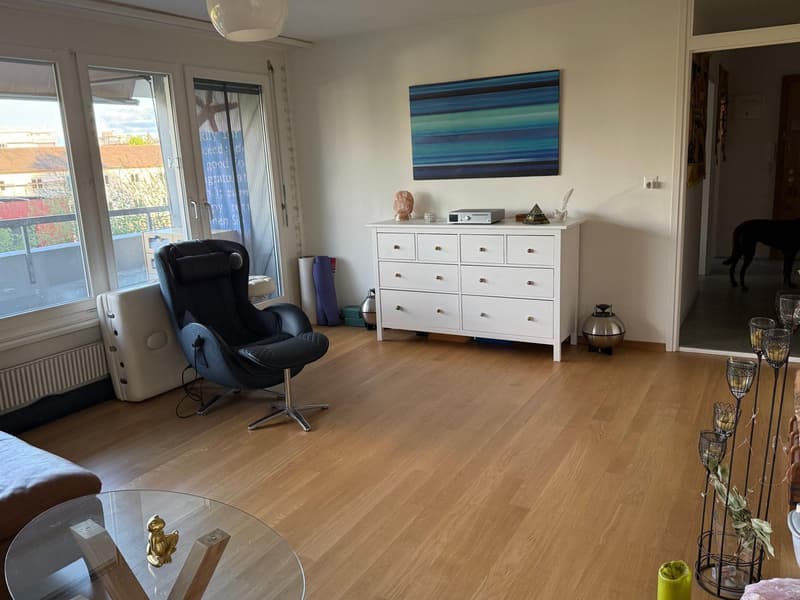 3½ ZI-WOHNUNG IN KREUZLINGEN (TG), MÖBLIERT, TEMPORÄR (2)