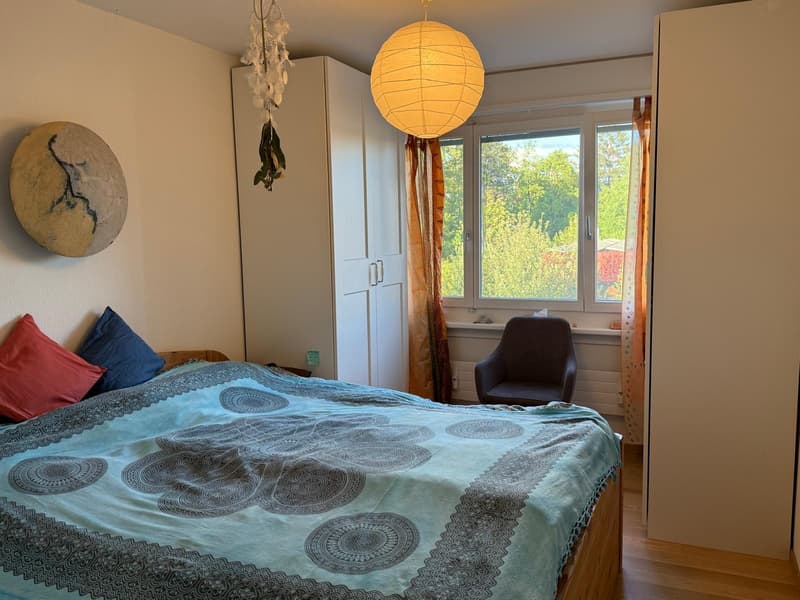 3½ ZI-WOHNUNG IN KREUZLINGEN (TG), MÖBLIERT, TEMPORÄR (6)
