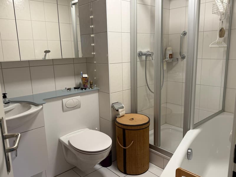 3½ ZI-WOHNUNG IN KREUZLINGEN (TG), MÖBLIERT, TEMPORÄR (9)
