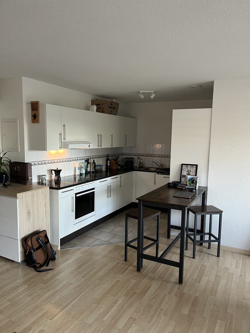 2½ ZI-WOHNUNG IN ZÜRICH - KREIS 11, MÖBLIERT, TEMPORÄR (3)