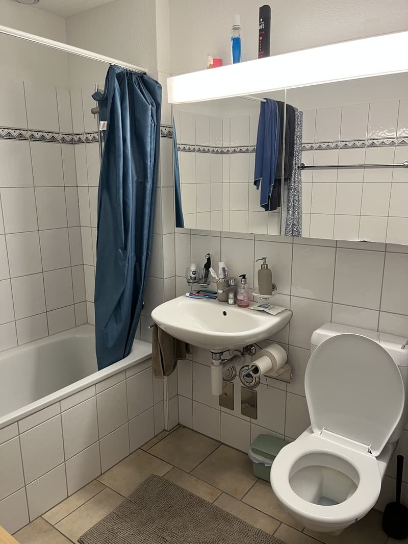 2½ ZI-WOHNUNG IN ZÜRICH - KREIS 11, MÖBLIERT, TEMPORÄR (7)