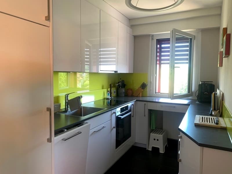 Appartamento attico 3½ locali ad Adlikon b. Regensdorf (ZH), arredato, temporaneo (3)