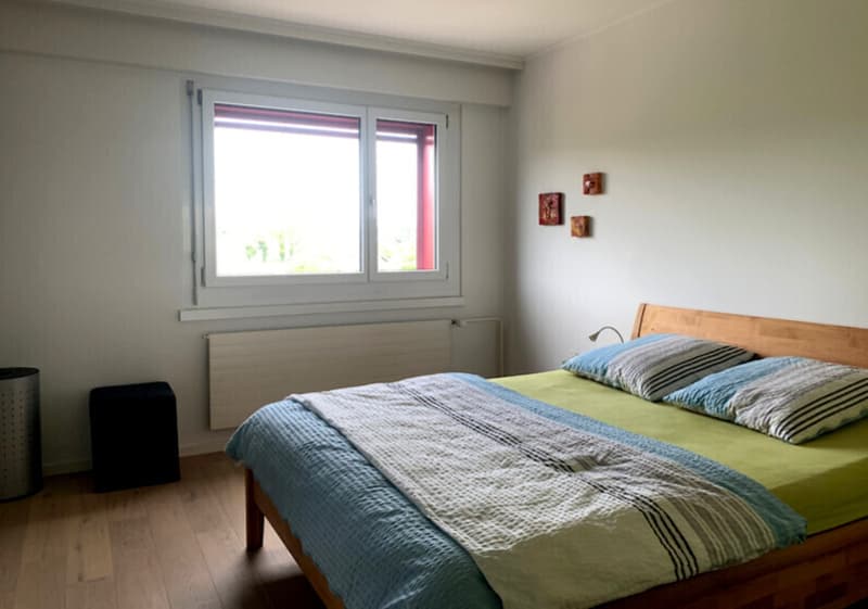 Appartamento attico 3½ locali ad Adlikon b. Regensdorf (ZH), arredato, temporaneo (5)