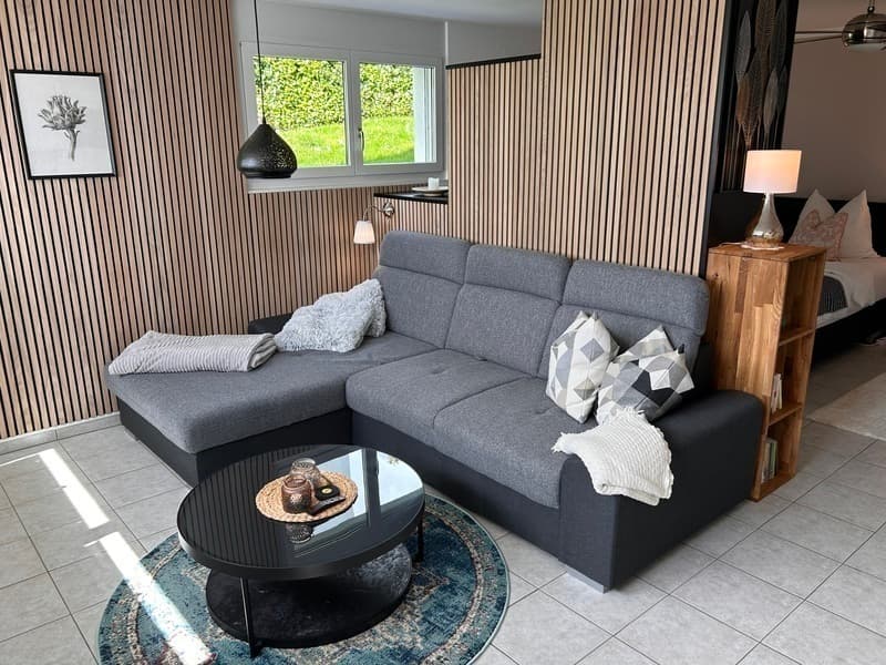 STUDIO IN REMETSCHWIL (AG), MÖBLIERT, TEMPORÄR (1)