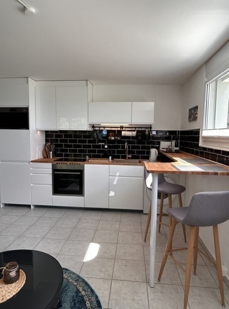 STUDIO IN REMETSCHWIL (AG), MÖBLIERT, TEMPORÄR (4)