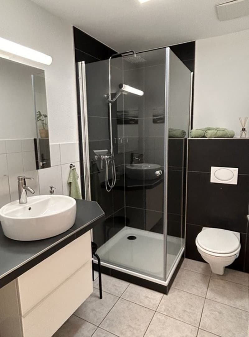 STUDIO IN REMETSCHWIL (AG), MÖBLIERT, TEMPORÄR (7)