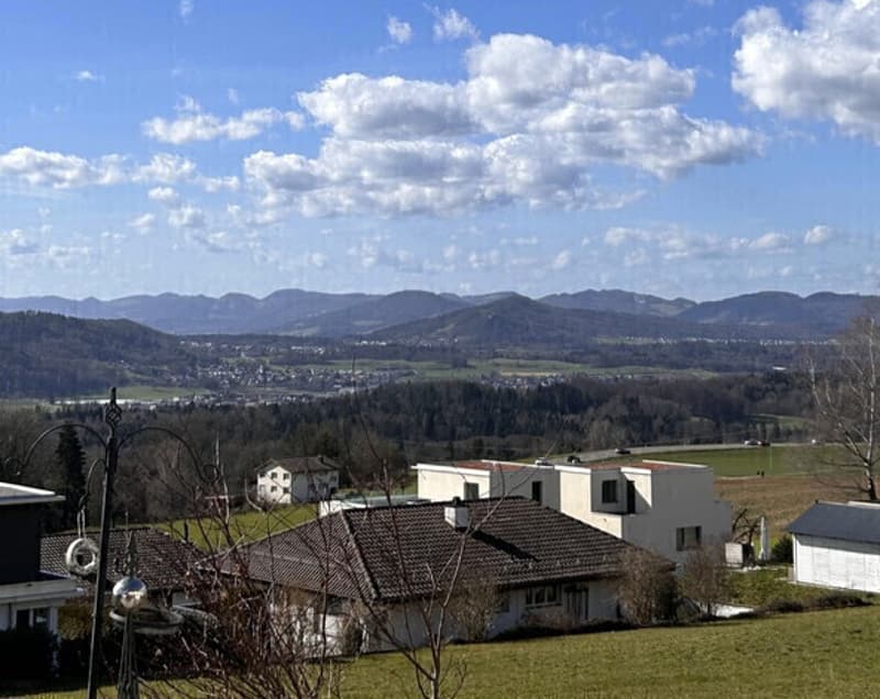 STUDIO IN REMETSCHWIL (AG), MÖBLIERT, TEMPORÄR (9)