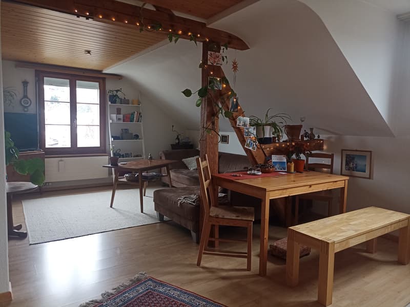 3½ ZI-WOHNUNG IN STECKBORN (TG), MÖBLIERT, TEMPORÄR (1)