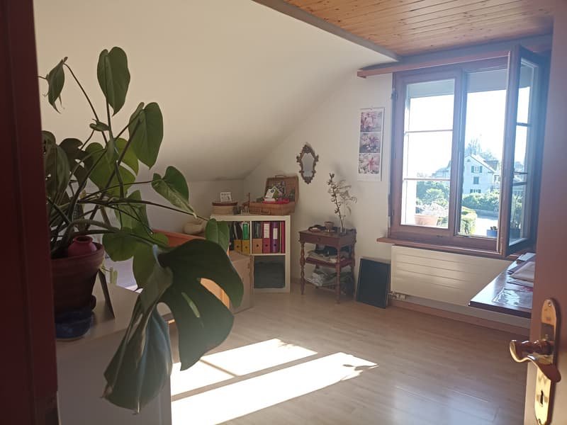 3½ ZI-WOHNUNG IN STECKBORN (TG), MÖBLIERT, TEMPORÄR (7)
