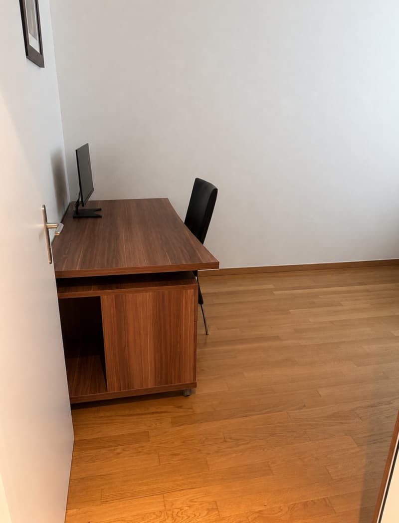 4½ ZI-WOHNUNG IN REINACH (BL), MÖBLIERT, TEMPORÄR (8)