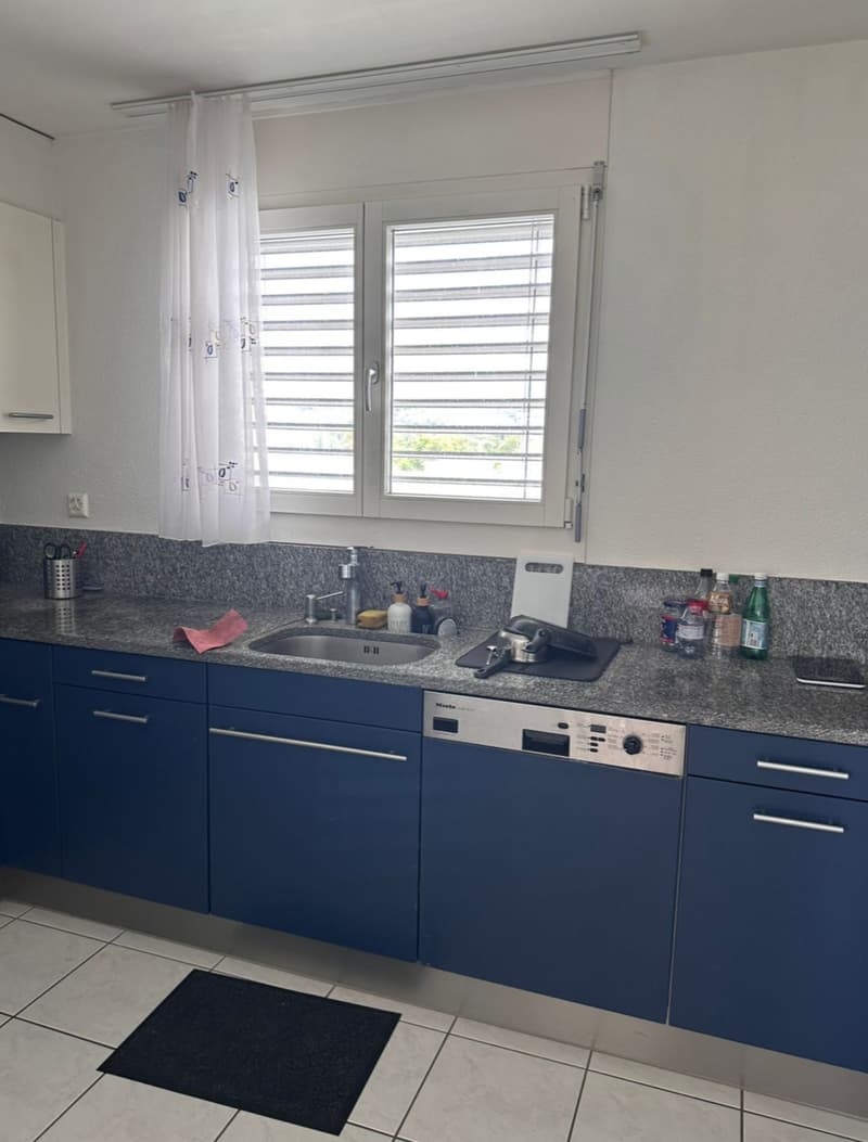 4½ ZI-WOHNUNG IN REINACH (BL), MÖBLIERT, TEMPORÄR (4)