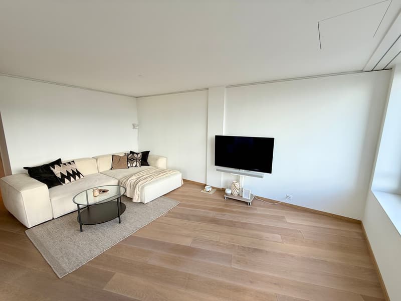 4½ ZI-WOHNUNG IN DIETIKON (ZH), MÖBLIERT, TEMPORÄR (2)