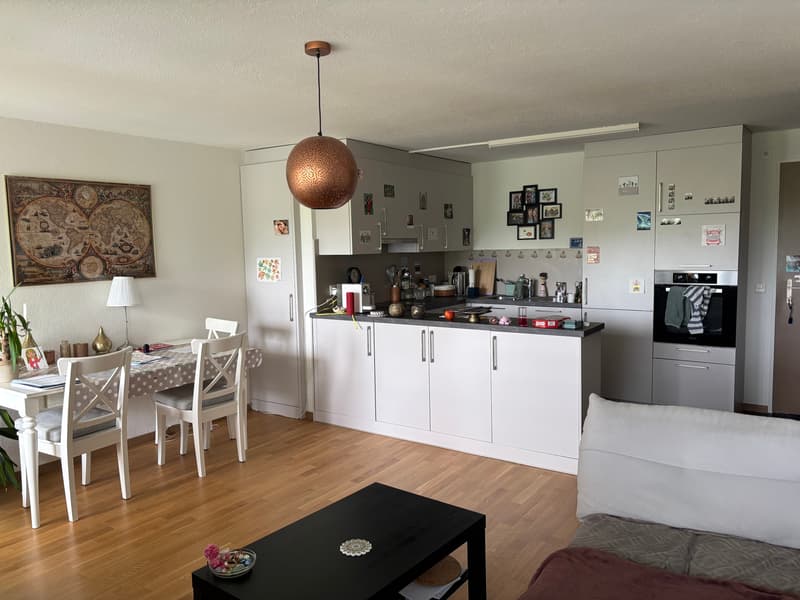 2½ ZI-WOHNUNG IN EFFRETIKON (ZH), MÖBLIERT, TEMPORÄR (3)