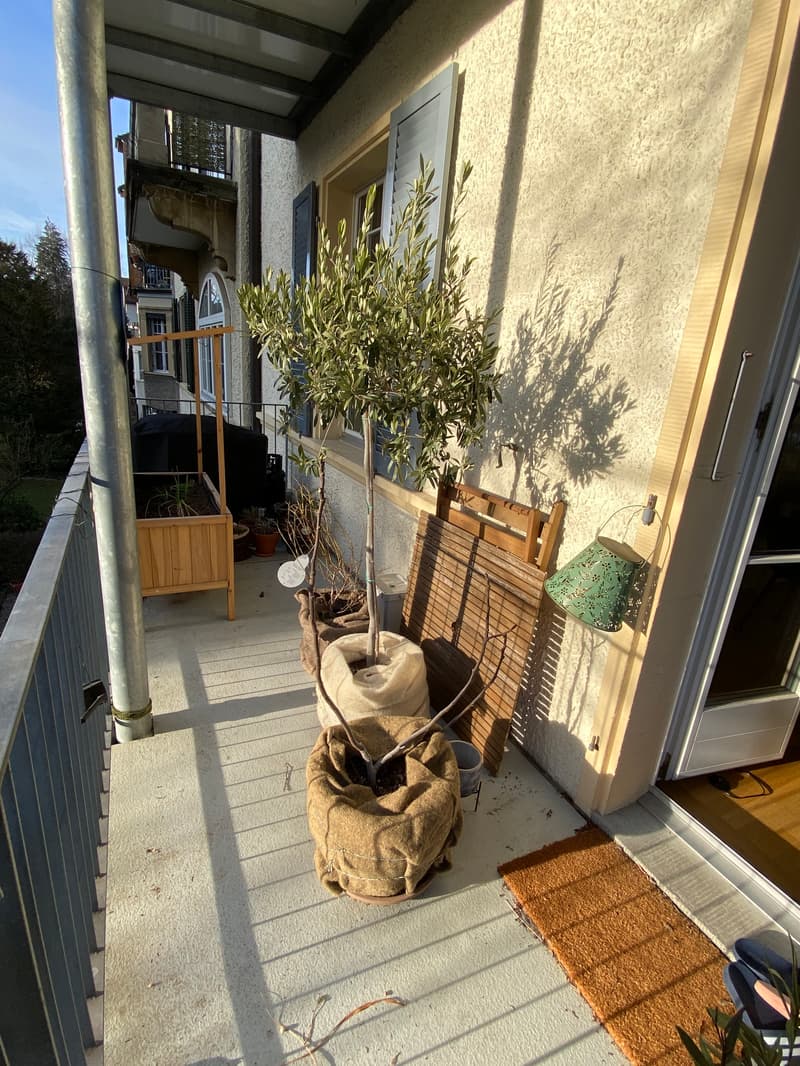 3 ZI-WOHNUNG IN BERN - LÄNGGASSE, MÖBLIERT, TEMPORÄR (7)