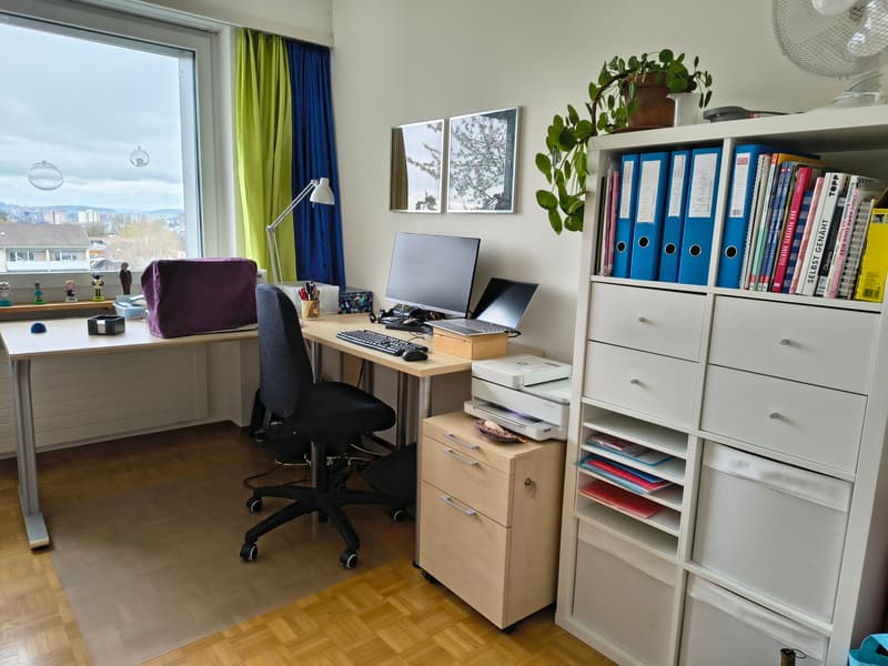3½ ZI-WOHNUNG IN WINTERTHUR - SEEN, MÖBLIERT, TEMPORÄR (4)