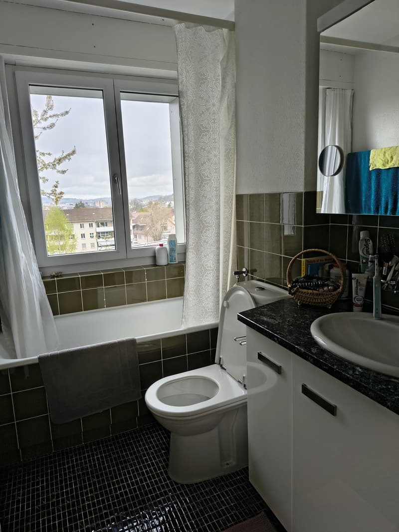 3½ ZI-WOHNUNG IN WINTERTHUR - SEEN, MÖBLIERT, TEMPORÄR (6)