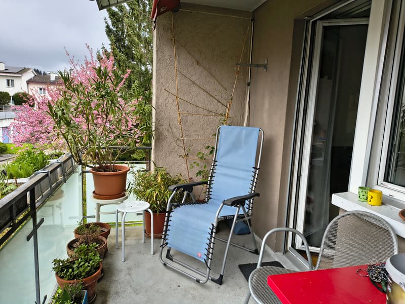 3½ ZI-WOHNUNG IN WINTERTHUR - SEEN, MÖBLIERT, TEMPORÄR (7)
