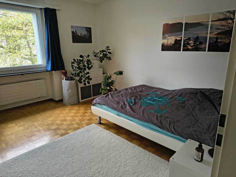 3½ ZI-WOHNUNG IN WINTERTHUR - SEEN, MÖBLIERT, TEMPORÄR (3)