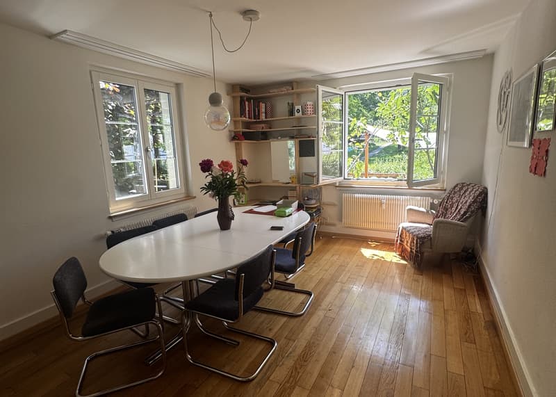 5 ZIMMER-HAUS IN ZÜRICH - KREIS 3, MÖBLIERT, TEMPORÄR (1)