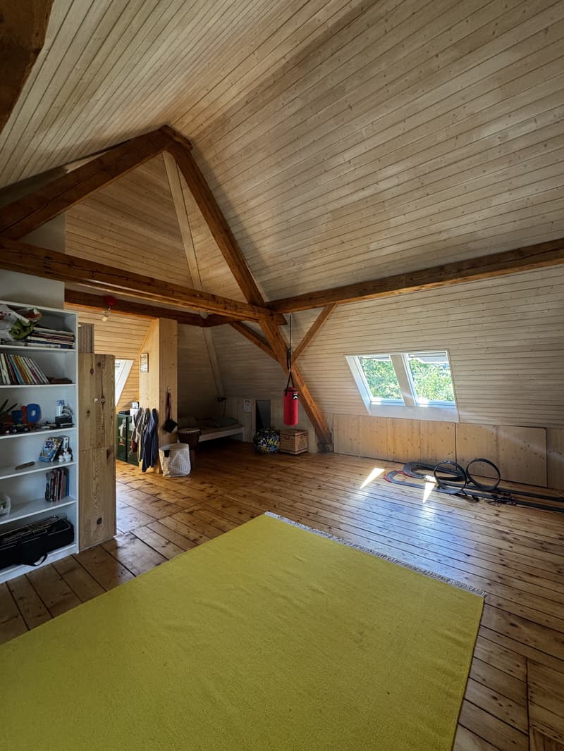 5 ZIMMER-HAUS IN ZÜRICH - KREIS 3, MÖBLIERT, TEMPORÄR (4)