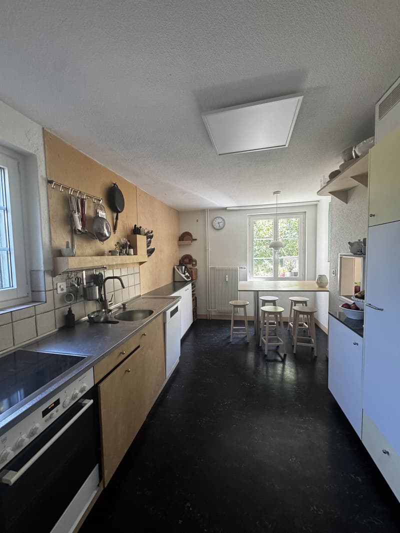 5 ZIMMER-HAUS IN ZÜRICH - KREIS 3, MÖBLIERT, TEMPORÄR (3)
