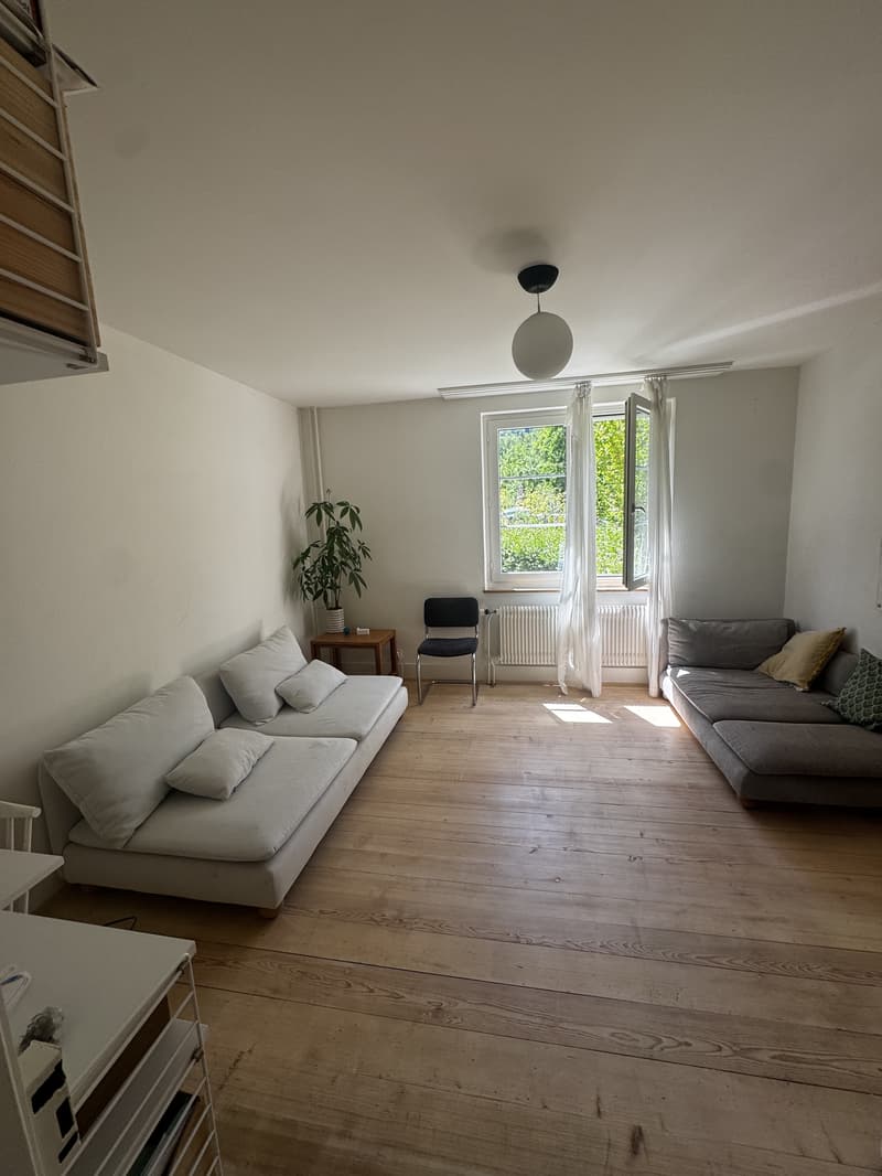 5 ZIMMER-HAUS IN ZÜRICH - KREIS 3, MÖBLIERT, TEMPORÄR (2)