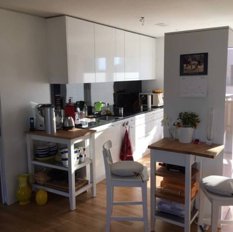 3½ ZI-WOHNUNG IN ZÜRICH, MÖBLIERT, TEMPORÄR (3)