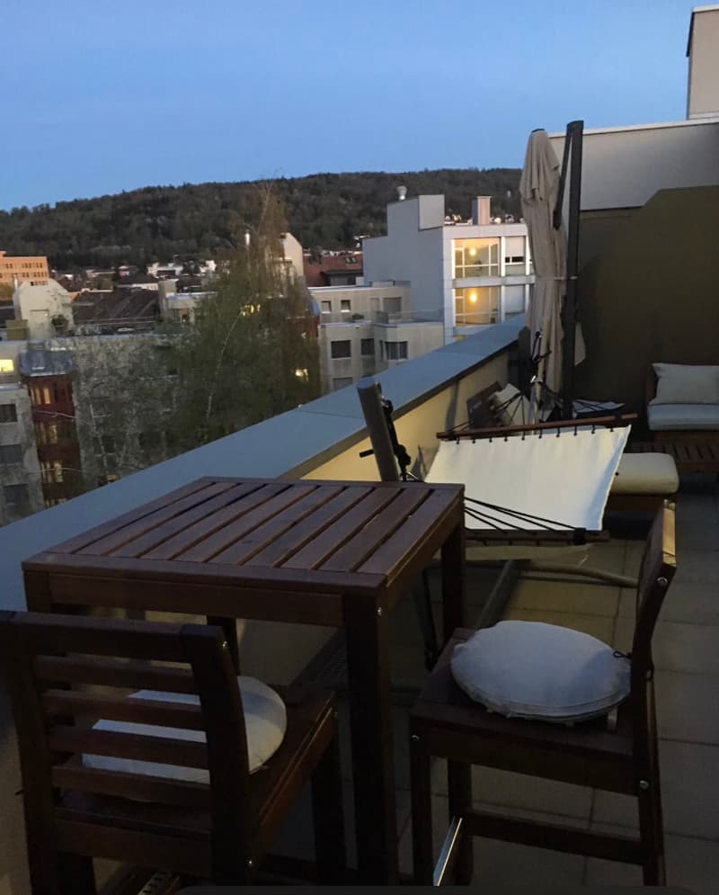 3½ ZI-WOHNUNG IN ZÜRICH, MÖBLIERT, TEMPORÄR (8)