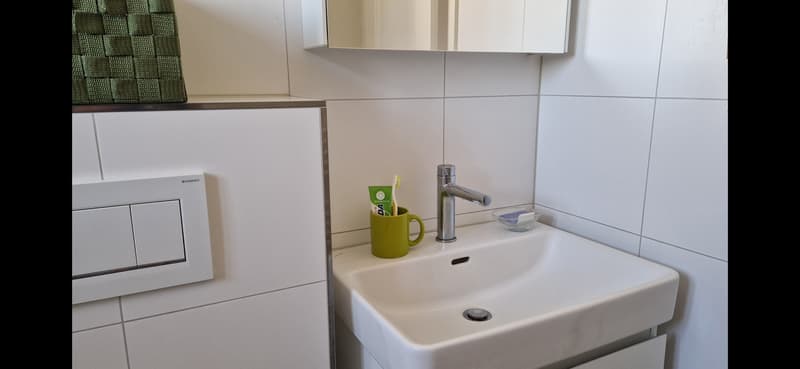 3 ZI-WOHNUNG IN URDORF (ZH), MÖBLIERT, TEMPORÄR (6)