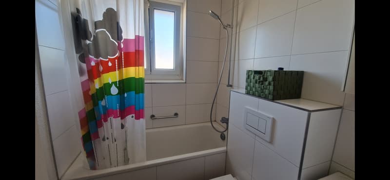 3 ZI-WOHNUNG IN URDORF (ZH), MÖBLIERT, TEMPORÄR (7)
