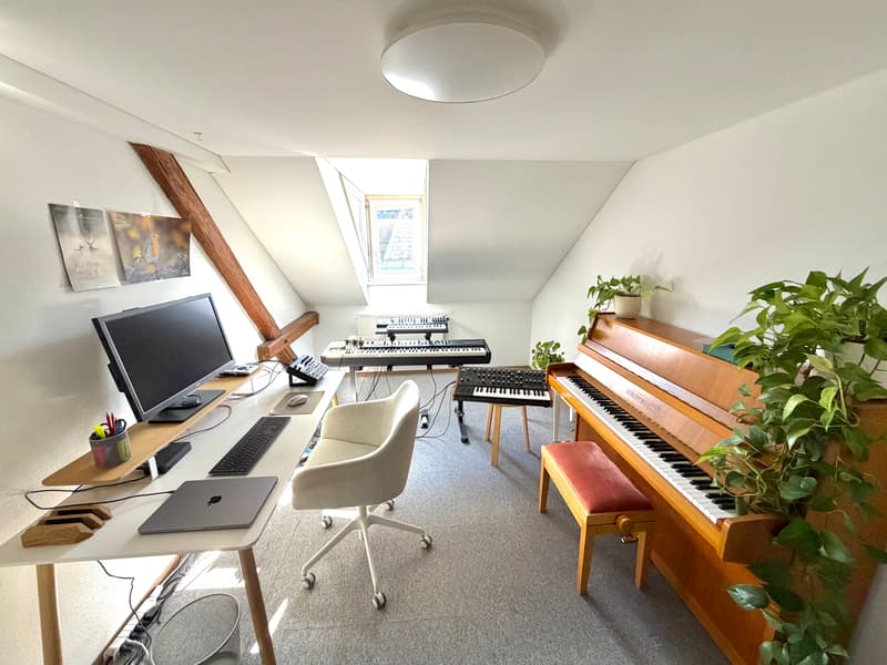 3 ZI-WOHNUNG IN ST. GALLEN, MÖBLIERT, TEMPORÄR (3)