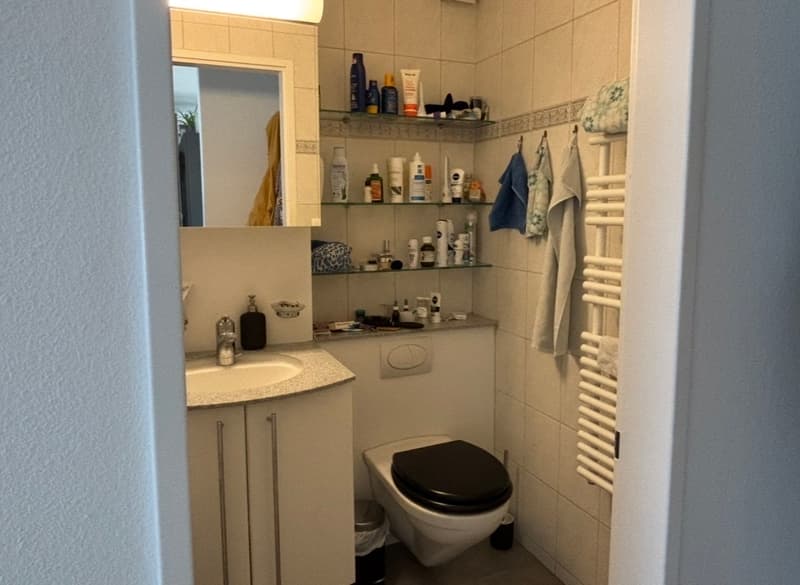 3½ ZI-WOHNUNG IN BOLLIGEN (BE), MÖBLIERT, TEMPORÄR (8)
