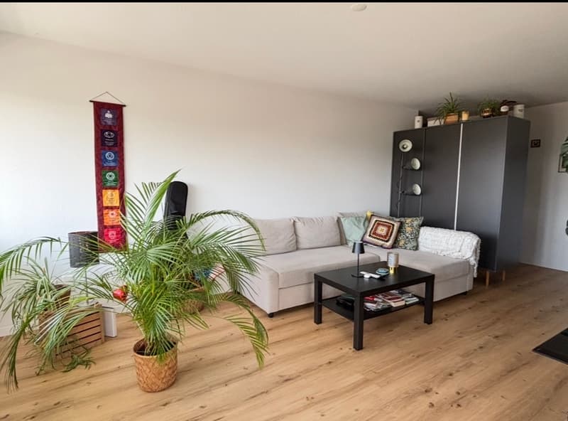 3½ ZI-WOHNUNG IN BOLLIGEN (BE), MÖBLIERT, TEMPORÄR (3)
