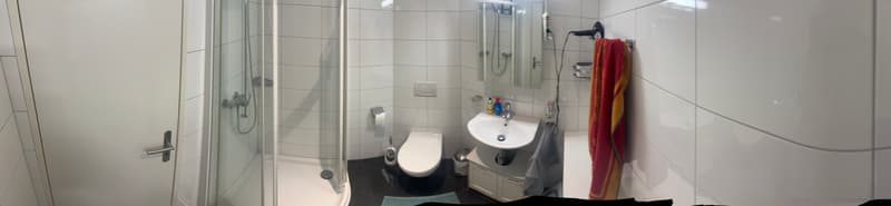 4½ ZI-WOHNUNG IN BOTTIGHOFEN (TG), MÖBLIERT, TEMPORÄR (6)