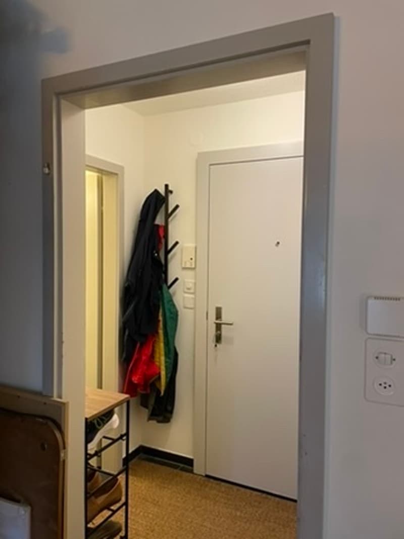 1 ZI-WOHNUNG IN ZÜRICH - KREIS 11 SEEBACH, MÖBLIERT, TEMPORÄR (7)