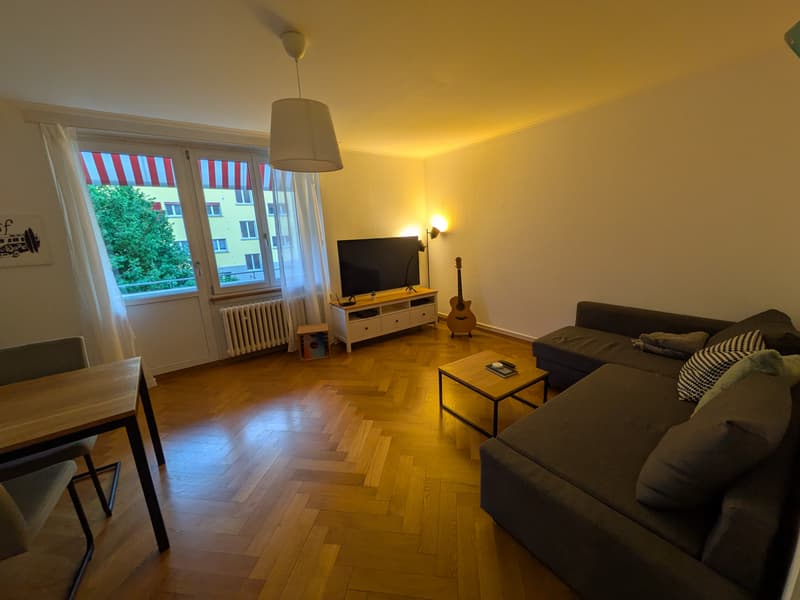 2 ZI-WOHNUNG IN BERN - WEISSENBÜHL, MÖBLIERT, TEMPORÄR (2)