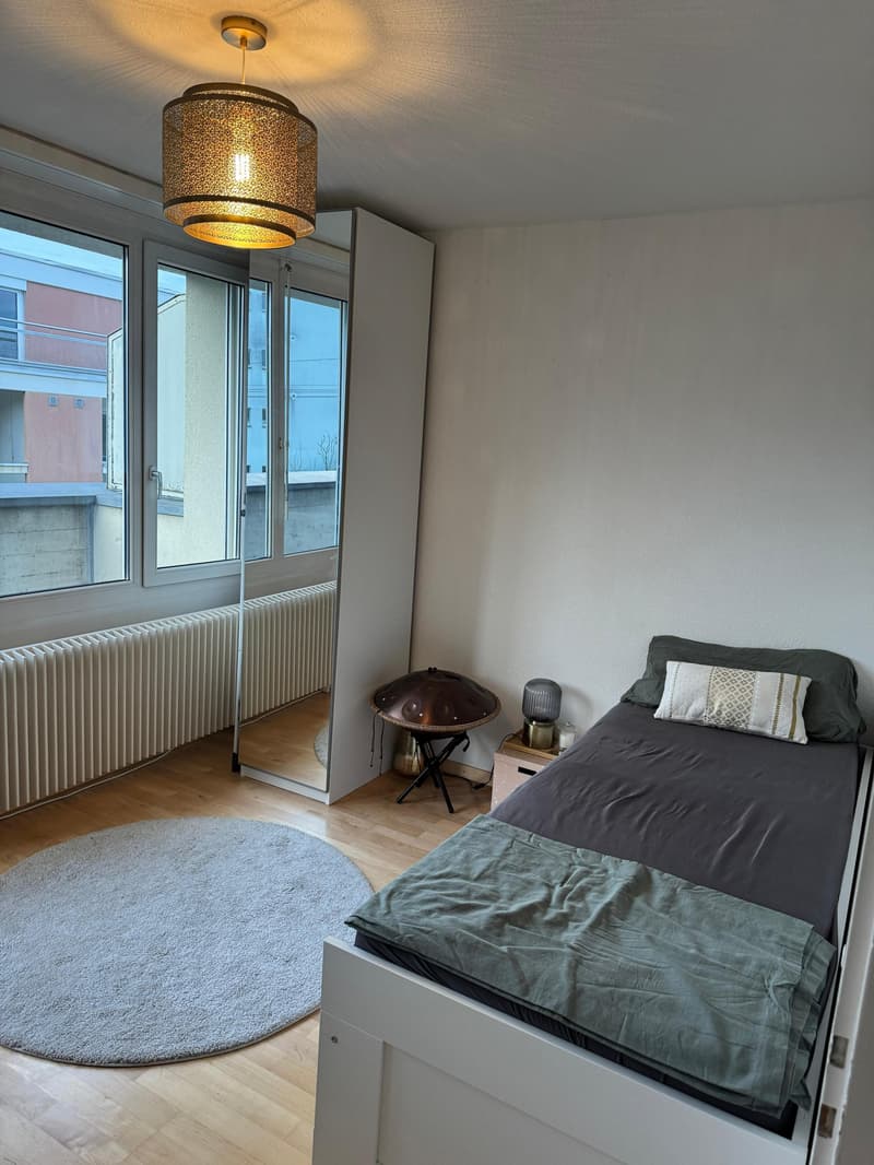3½ ZIMMER-DACHWOHNUNG IN LUZERN, MÖBLIERT, TEMPORÄR (6)
