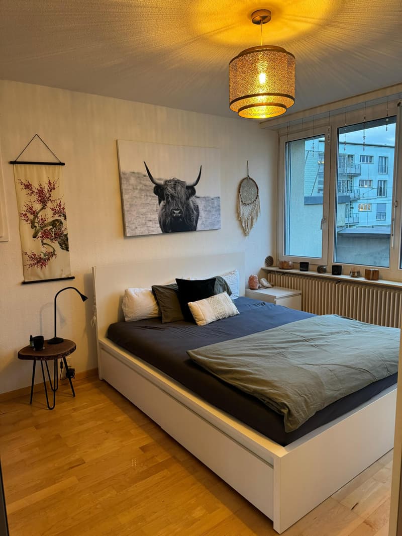3½ ZIMMER-DACHWOHNUNG IN LUZERN, MÖBLIERT, TEMPORÄR (5)