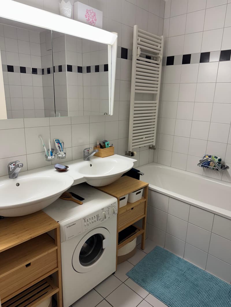 3½ ZIMMER-DACHWOHNUNG IN LUZERN, MÖBLIERT, TEMPORÄR (8)