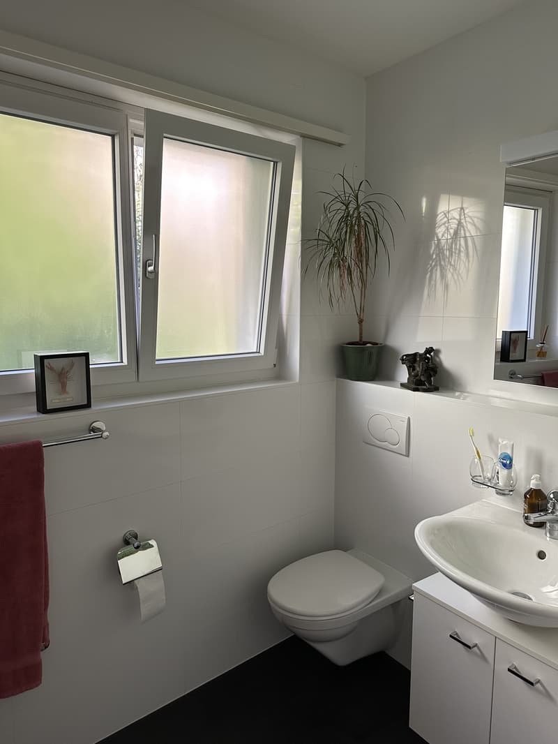 1½ ZI-WOHNUNG IN BERN - KIRCHENFELD, MÖBLIERT, TEMPORÄR (4)