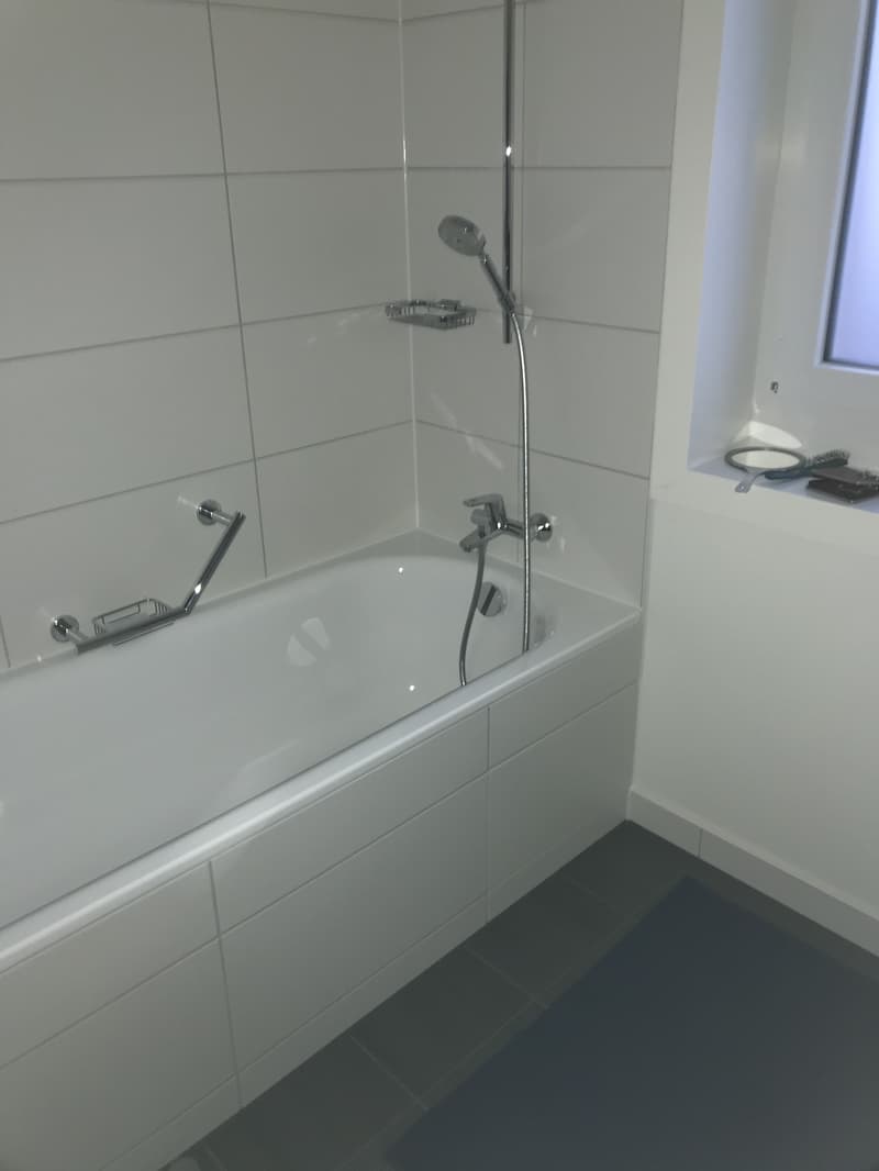 3½ ZIMMER-DACHWOHNUNG IN KERZERS (FR), MÖBLIERT, TEMPORÄR (6)