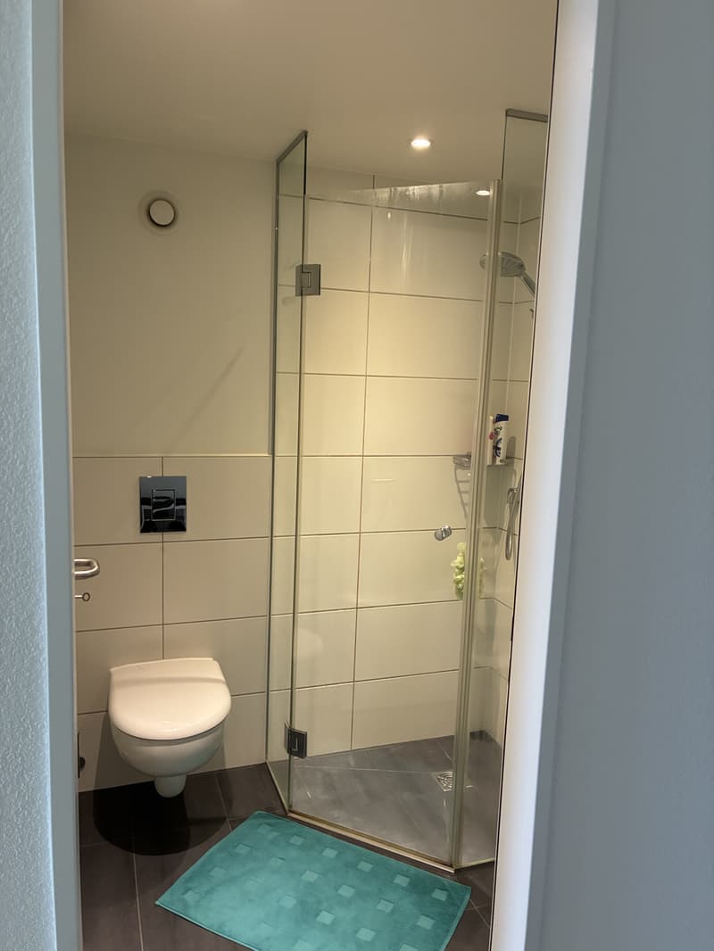 3½ ZIMMER-DACHWOHNUNG IN KERZERS (FR), MÖBLIERT, TEMPORÄR (7)